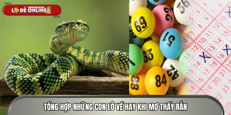 Những con số bạn có thể lựa chọn khi mơ ra rắn 