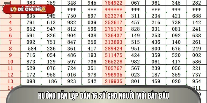 dan-de-16-so-huong-dan