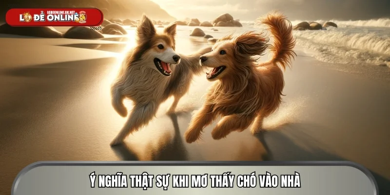 Ý nghĩa thật sự khi mơ thấy chó vào nhà