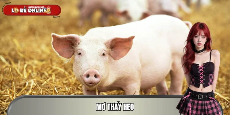 Mơ Thấy Heo - Giải Mã Điềm Báo 2026 Theo Sổ Mơ Chi Tiết