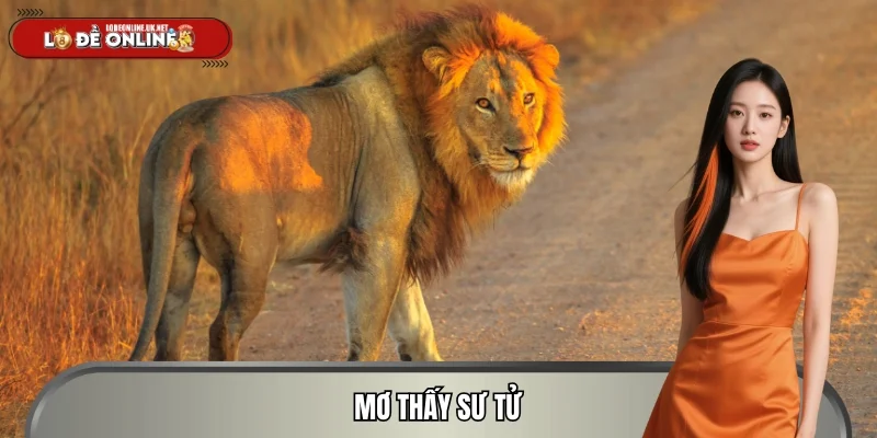 Mơ Thấy Sư Tử – Khi Sức Mạnh Gắn Liền Con Số May Mắn
