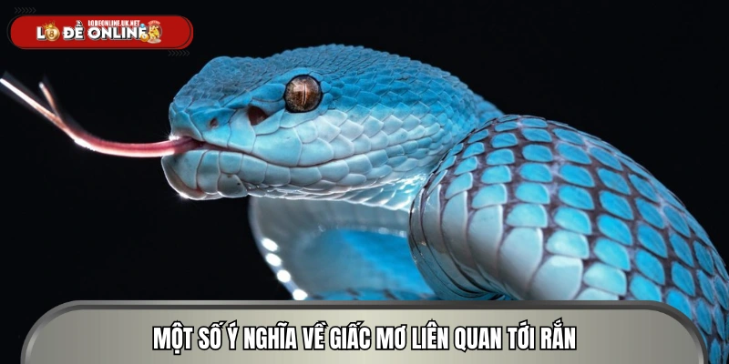 Một số lời giải thích về cơ chiêm bao thấy rắn 